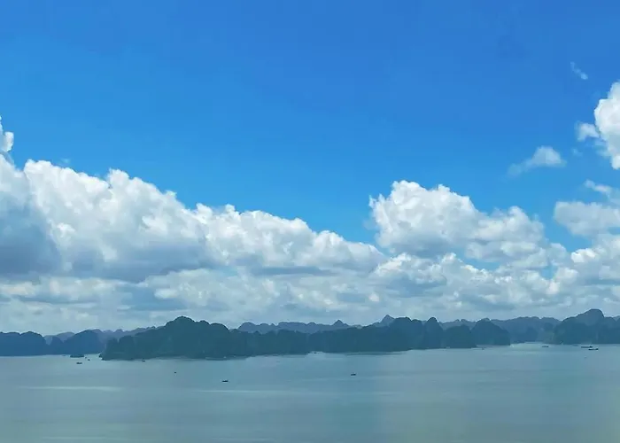 Comzy Hạ Long